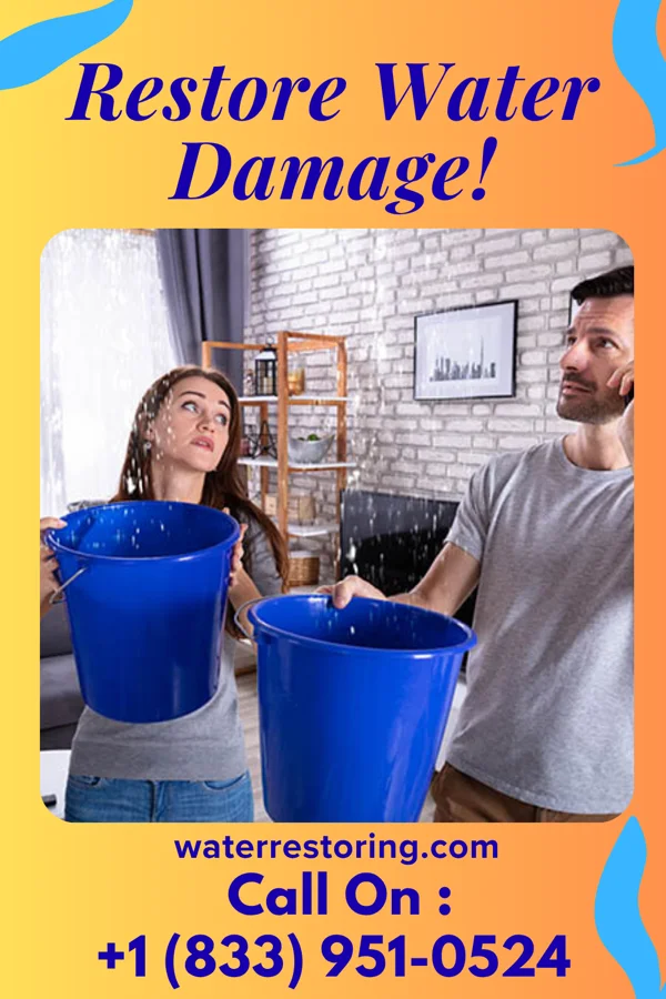 water restoration Master Water Mitigation Force Emporia