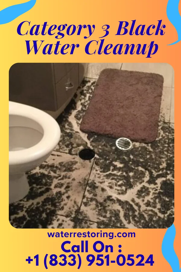 Category 3 Black Water Cleanup in Emporia, KS