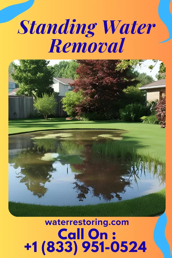 Standing Water Removal in Emporia, KS